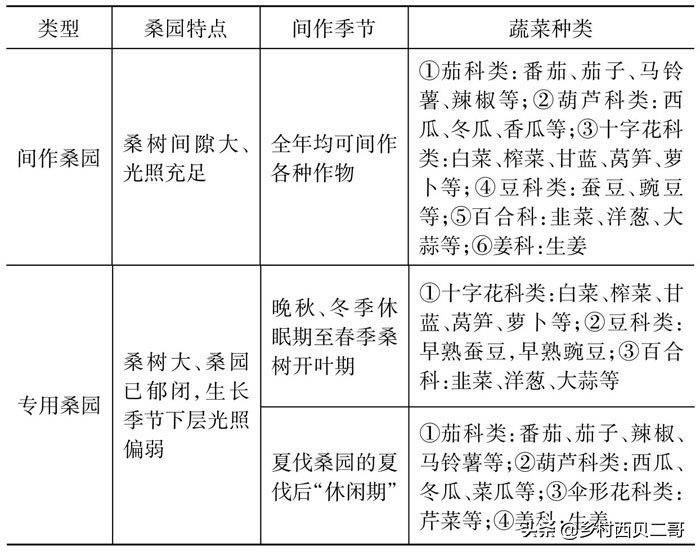 桑树种植技术资料大全,致富经桑树种植技术