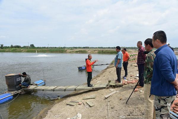 海口美兰区田教授塘边授罗非鱼养殖技术