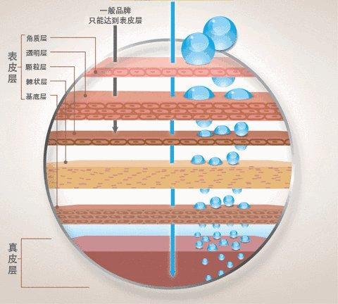 相宜本草的洗面奶排行榜,相宜本草洗面奶测评真实