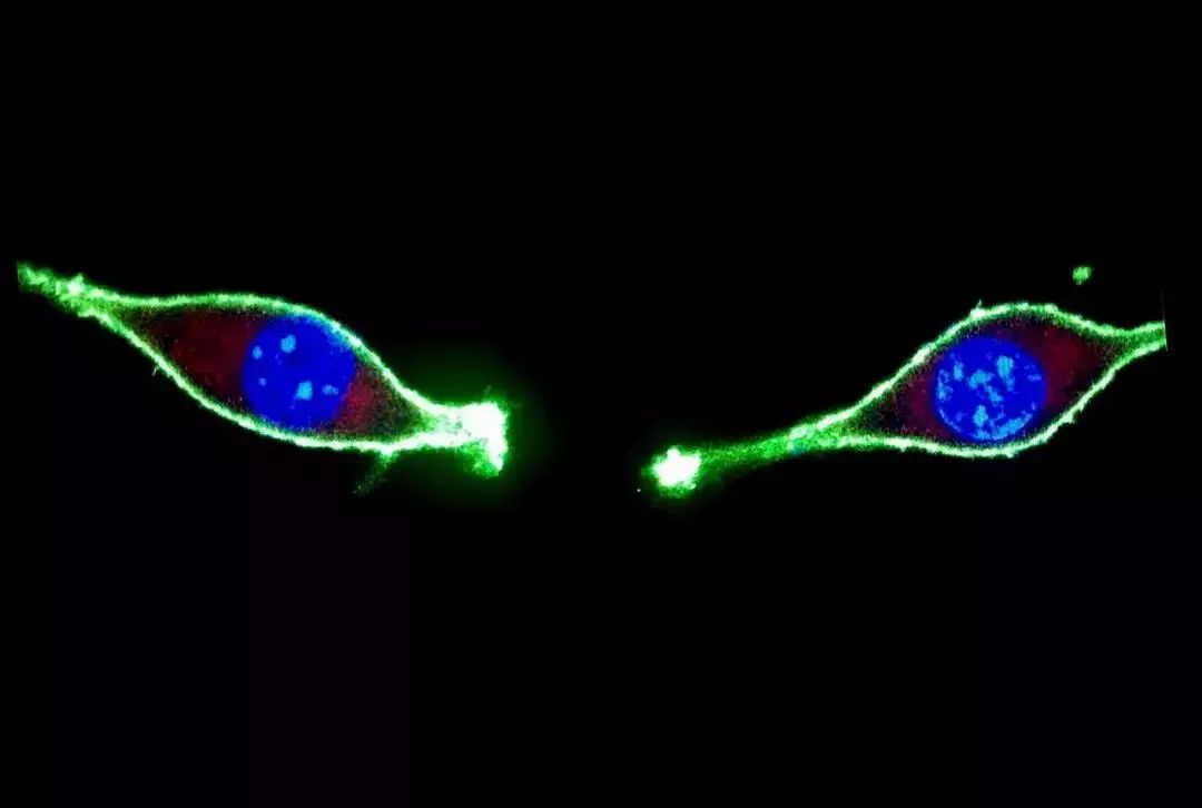 绉戠爺澹佺焊,绉戠爺浜虹殑鏂板勾澹佺焊