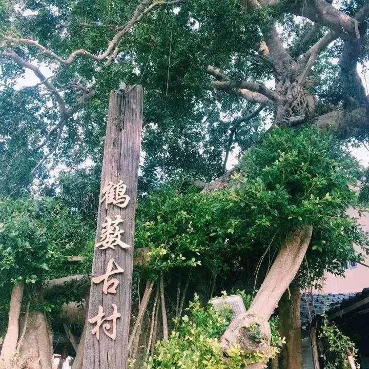 深圳最具特点的十个小镇,深圳深业特点小镇在哪里