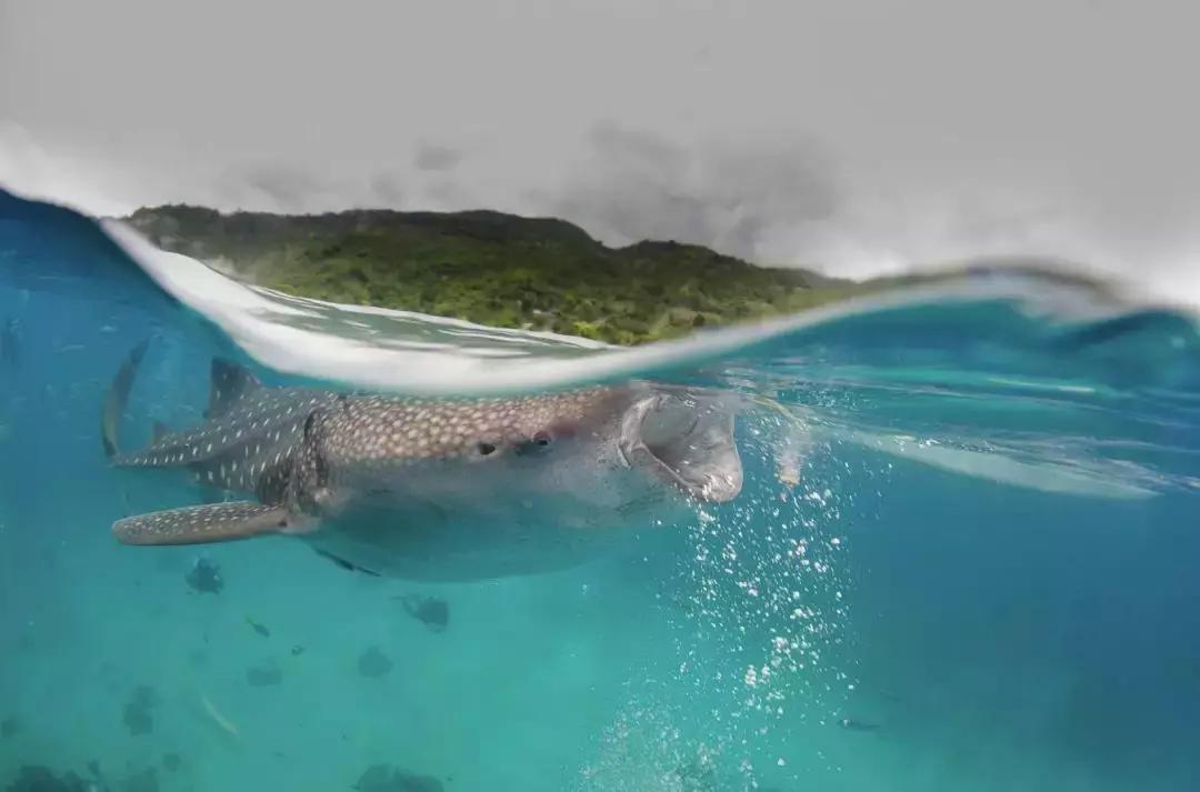 你不知道的东南亚！我们挖掘了11个人少景美的地方，不输欧洲