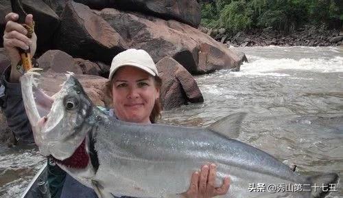 全球最危险的鱼,世界上最致命的鱼