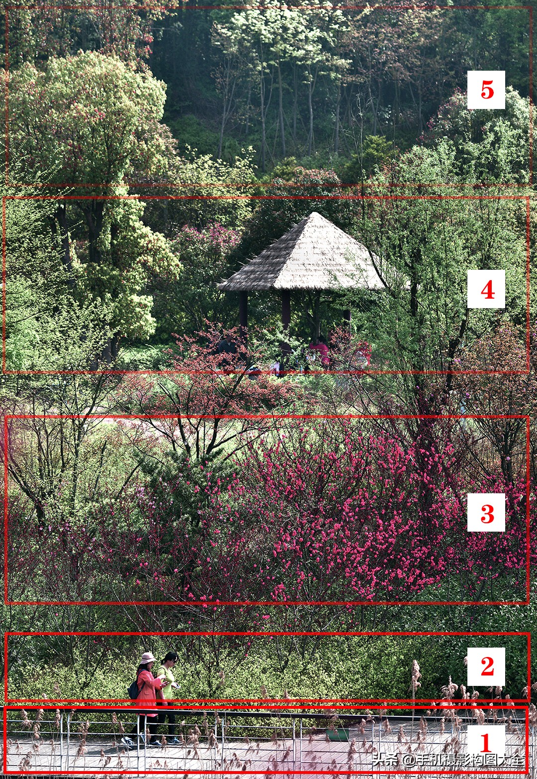 拍出好照片的简单摄影技巧,专业摄影技巧如何拍摄出精美照片