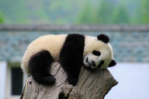 借钱给别人要怎么说好话,如何说好话找别人借钱