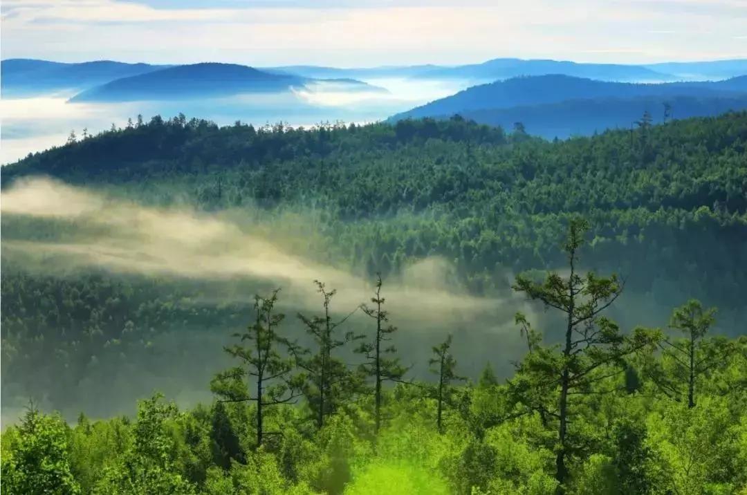星辰大海奔赴而来卡点,星辰大海奔赴而来原文