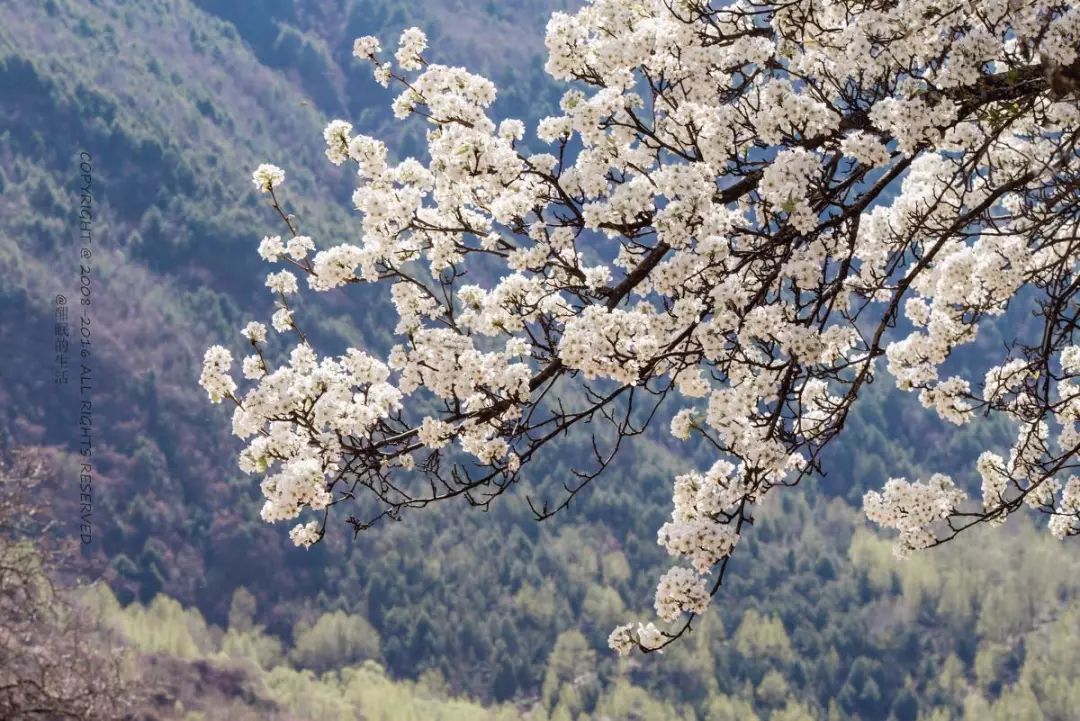 原来“女儿国”是真实存在的，就藏在川西！