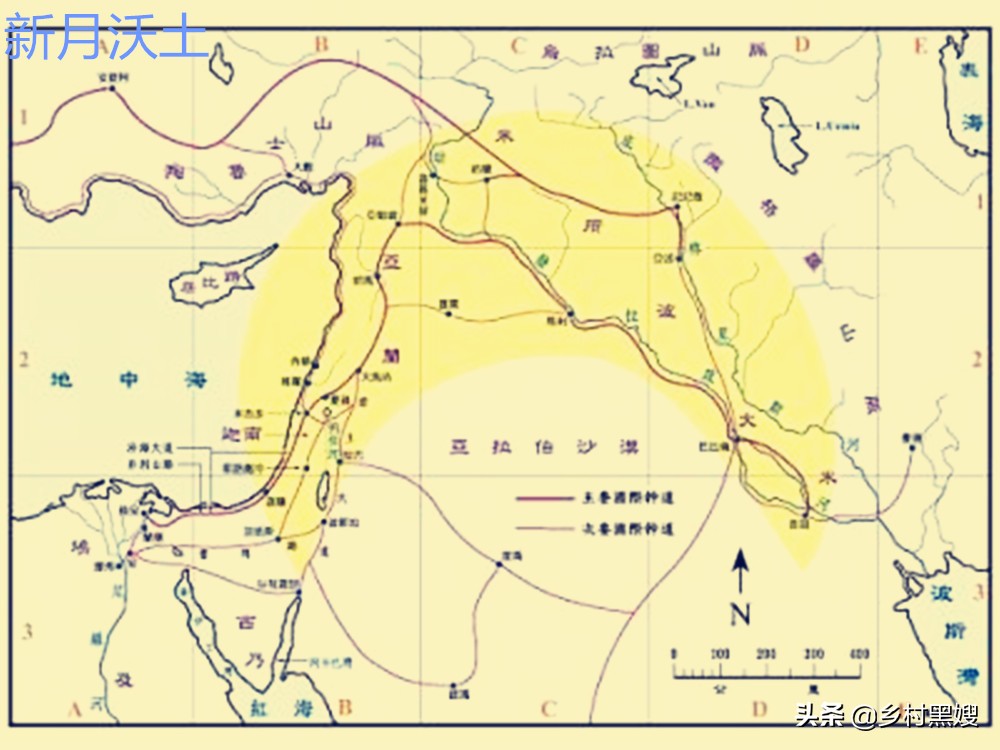 小麦是怎么生长的视频,小麦的起源与发展历史是怎样的