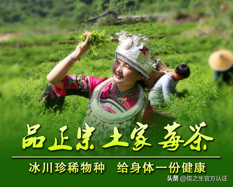 张家界长寿村莓茶多少钱一斤,长寿村莓茶