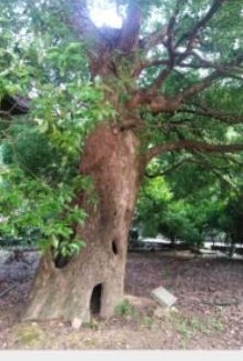 常宁名胜古迹探寻,最美常宁古镇