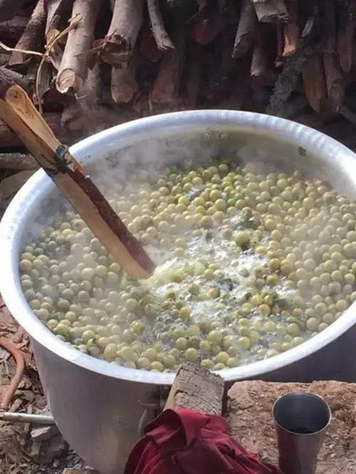 菩提子在沦为笑柄前请放过她《凤眼篇》