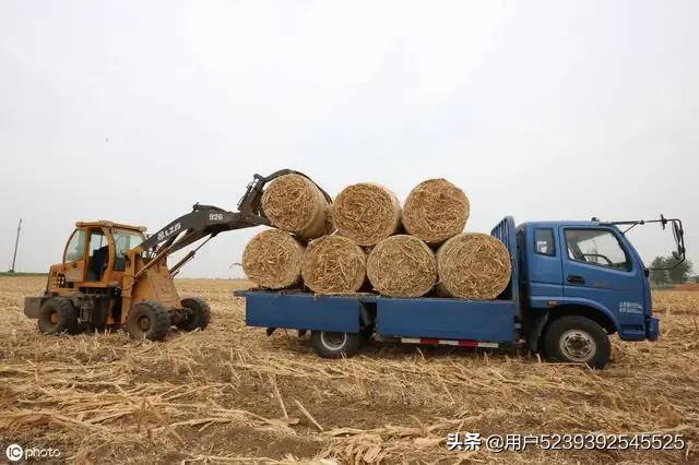 秸秆燃烧锅炉,秸秆净化焚烧炉