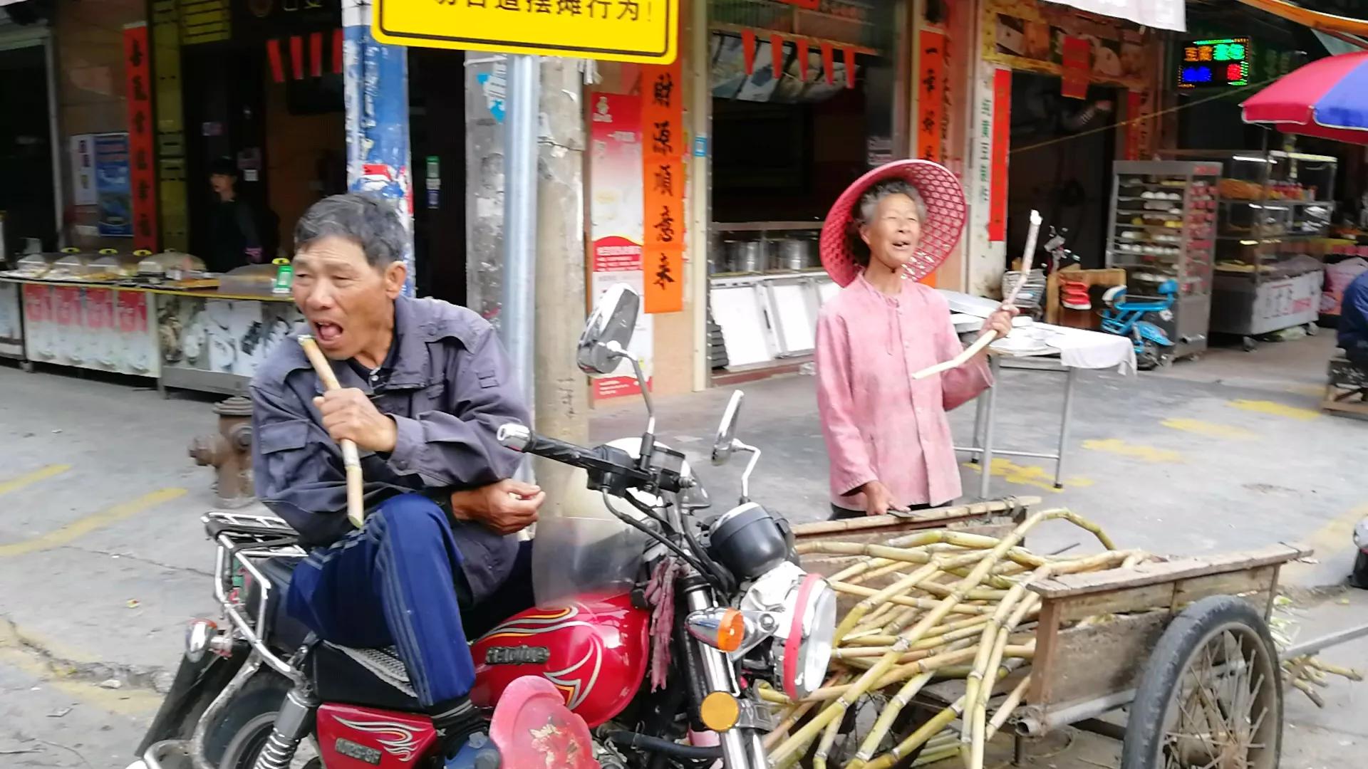阳江海陵岛白蒲镇海鲜市场,海陵岛白蒲镇有什么好玩的地方
