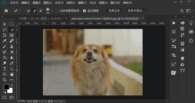 photoshop快捷键大全,photoshop设置快捷键大全
