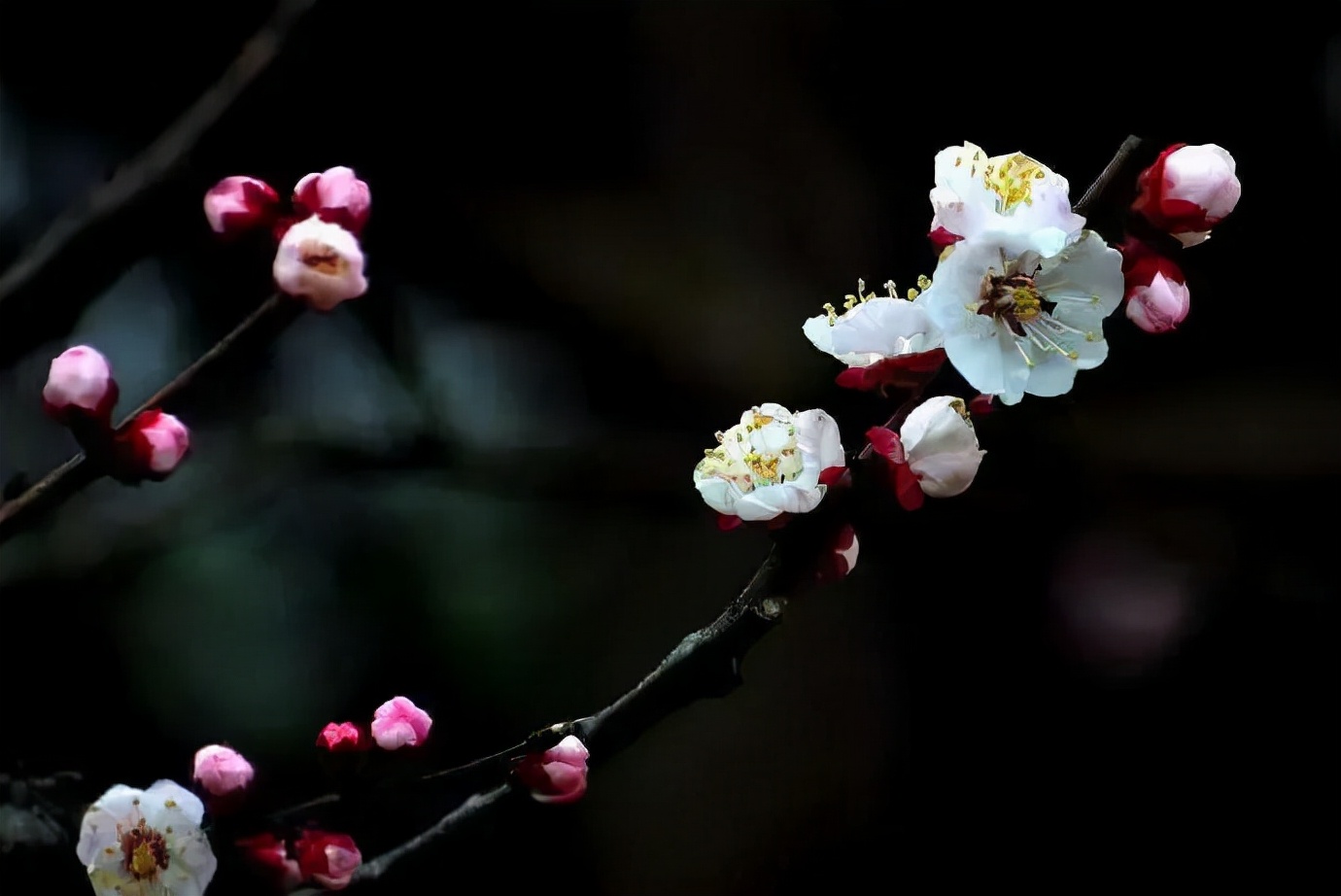 宋词经典赏析100首,绝美的十五首宋词欣赏