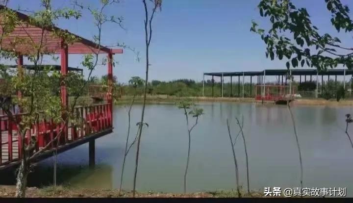 回龙观，一群985妈妈的反鸡娃实践：摆脱霸凌，却摆脱不了内卷