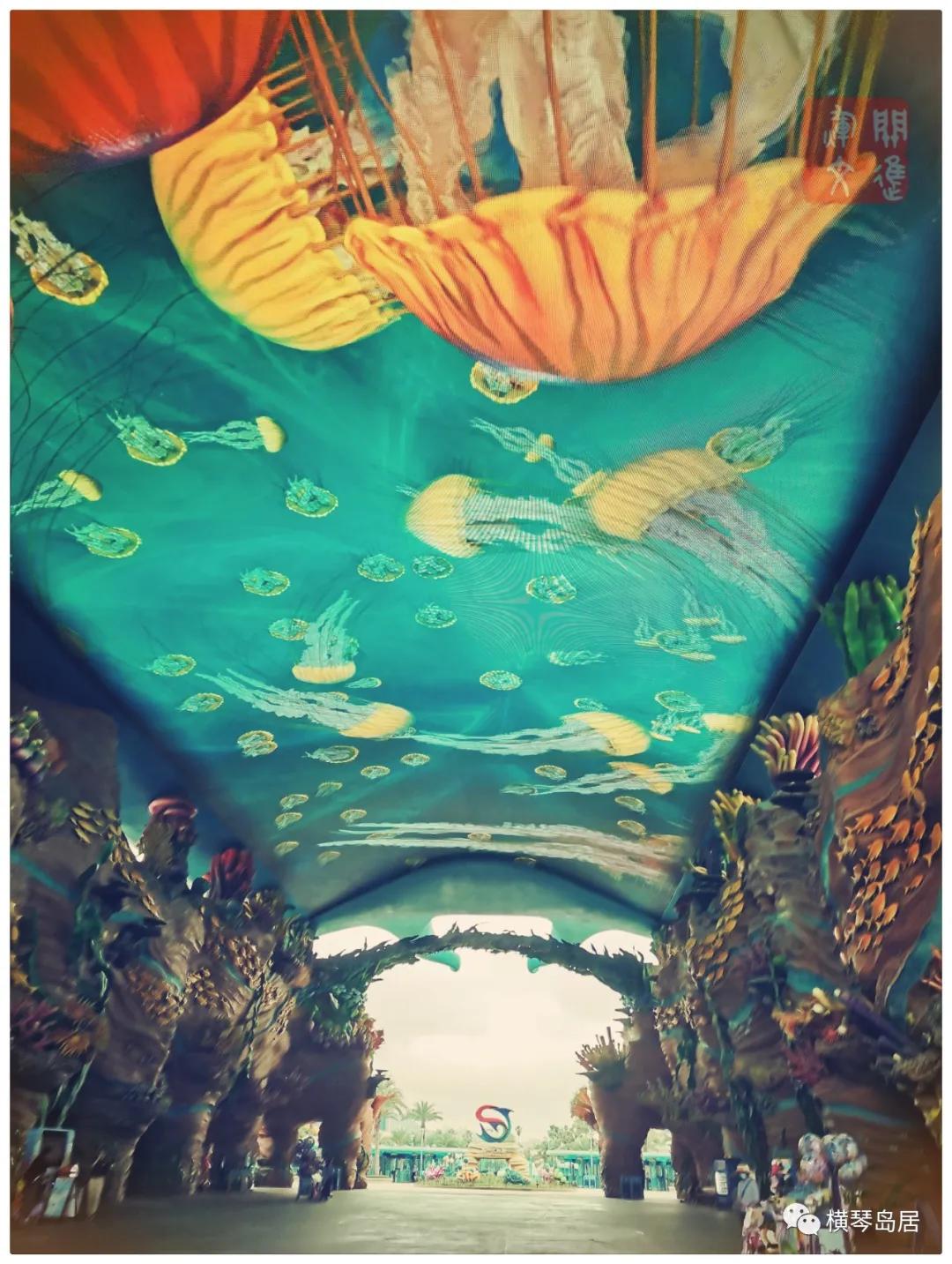 用“年卡”_游_“横琴”