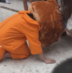 搞笑gif狗子我为这个家操碎了心,搞笑gif图片狗子都开始学坏了