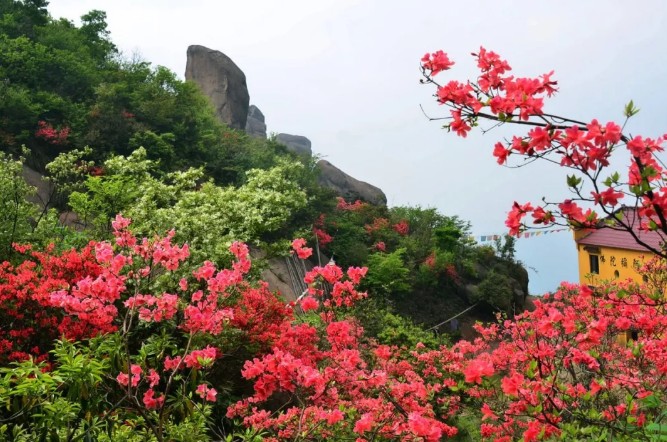 池州九华山有什么风景,安徽池州九华山旅游景点介绍