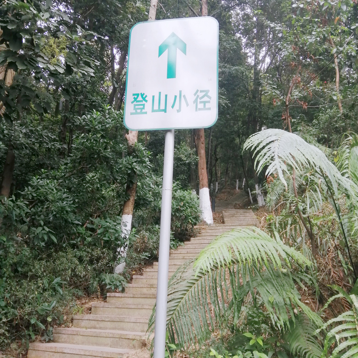 藏不住了广州周边网红打卡地推荐,广州网红打卡地夜景太古仓码头