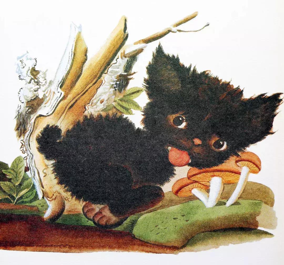 为什么要看绘本羞答答的小猫,幼儿绘本孤独的小猫推荐理由