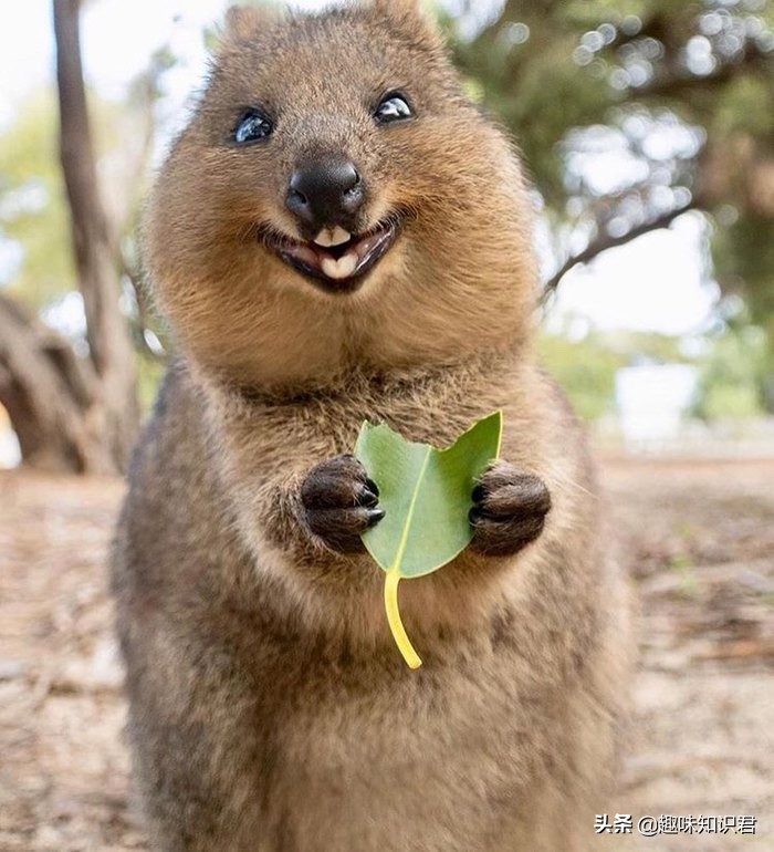世界上真的有趣的冷知识,世界100个奇葩冷知识