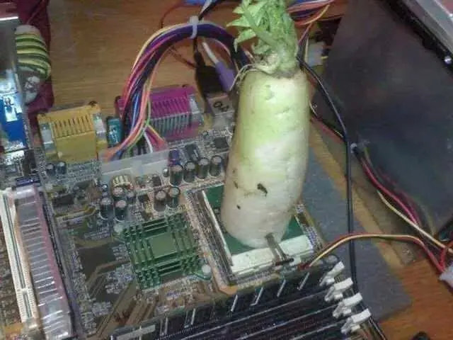 身家过亿进此吧，半月之后睡街头