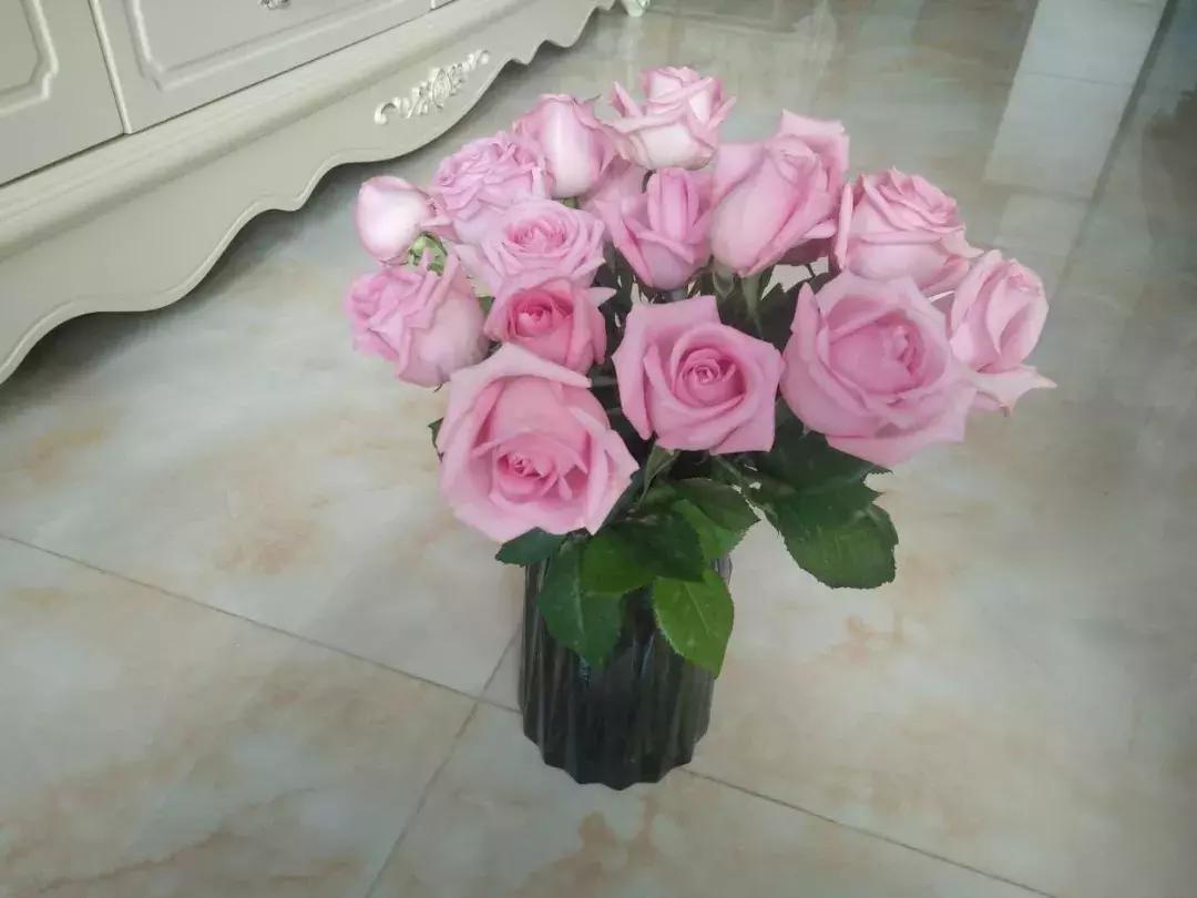 玫瑰鲜花养护方法和时间,玫瑰花束怎么养护延长花期呢