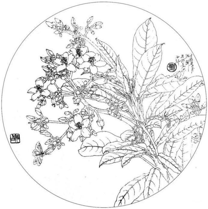 圆面白描作品古风,书法圆面白描作品集