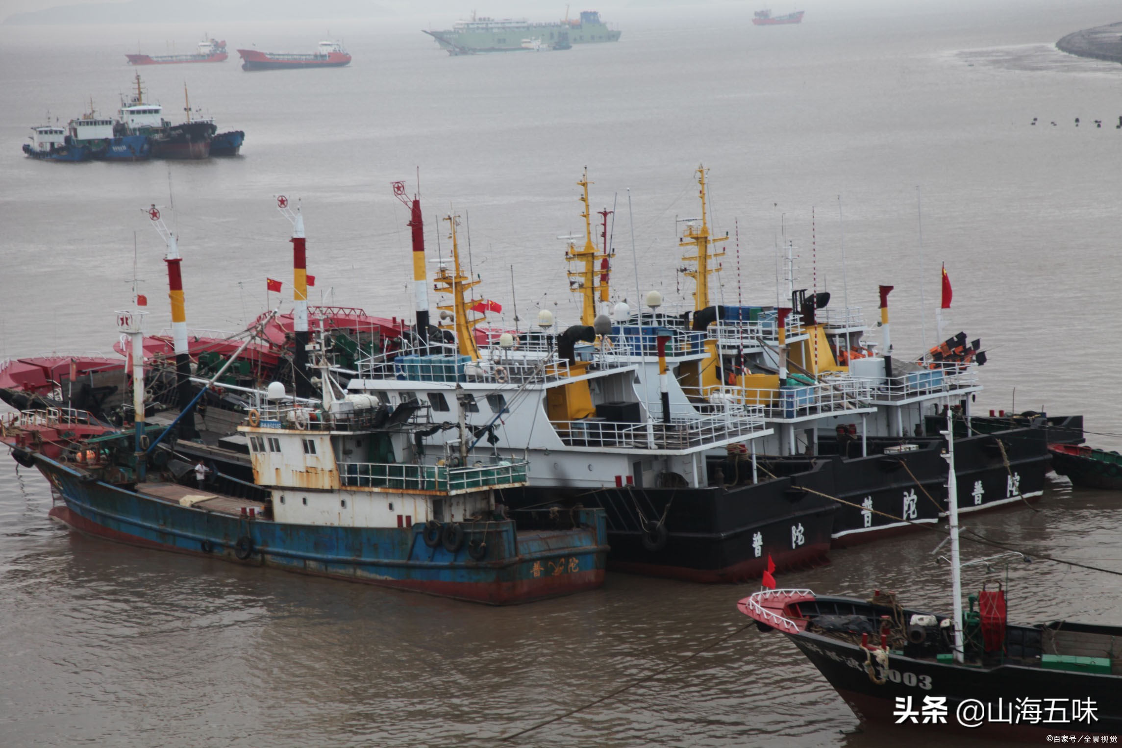 休渔期即将到来吃货们抓紧吃海鲜,进入休渔期后还有哪些海鲜