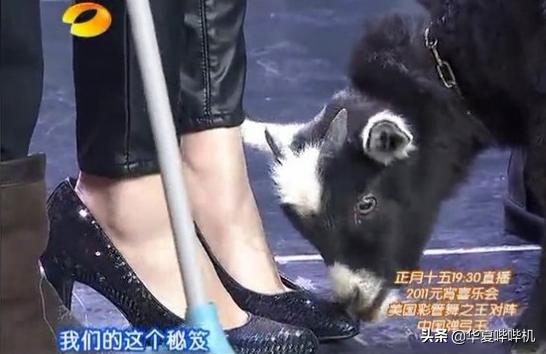 当年杨幂和刘恺威到底是什么情况,回忆杨幂与刘恺威过往经历