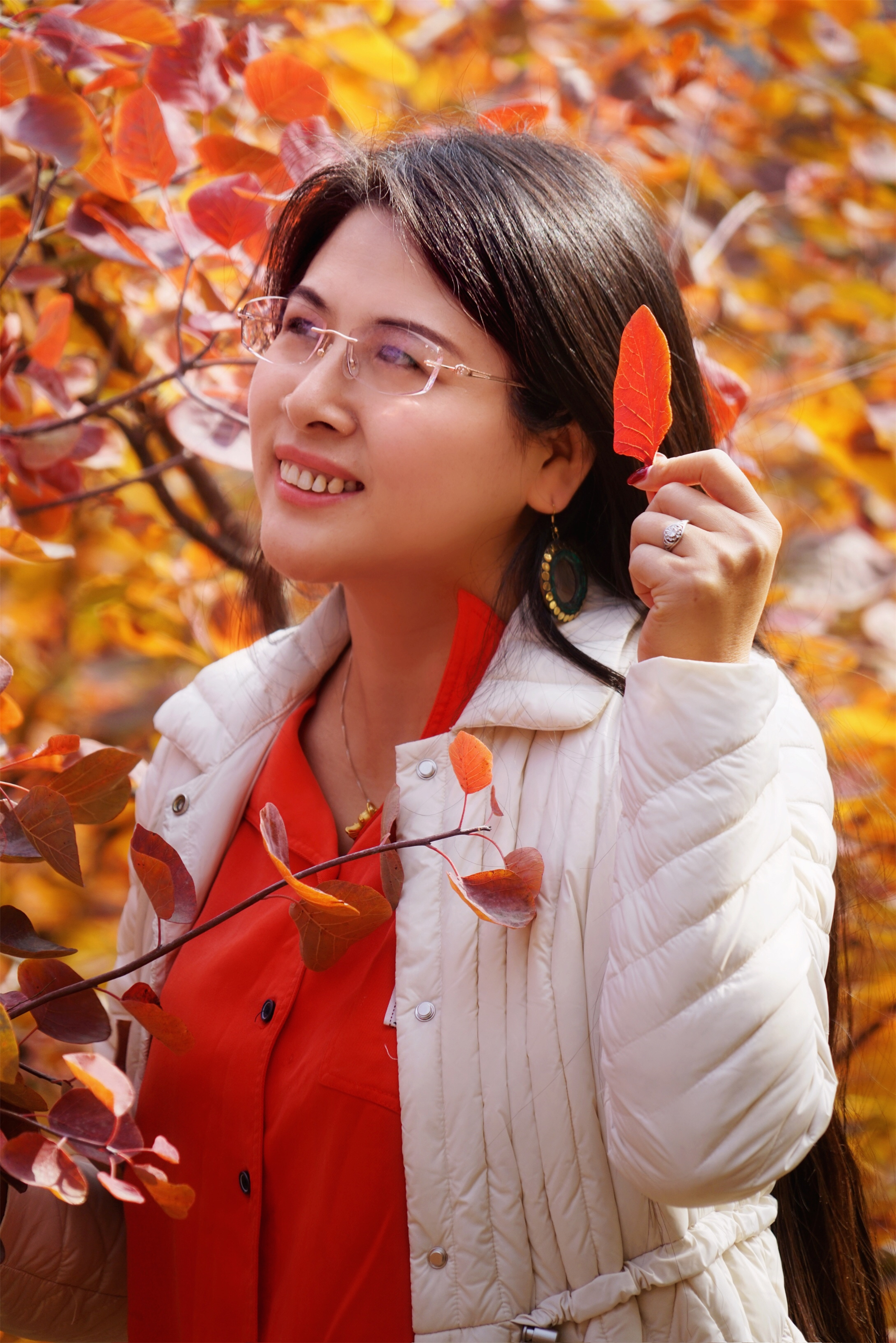 赏红叶最佳目的地,房山坡峰岭红叶最佳观赏