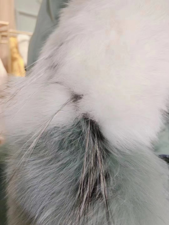 品牌女装尾货批发连衣裙,品牌女装尾货批发直播