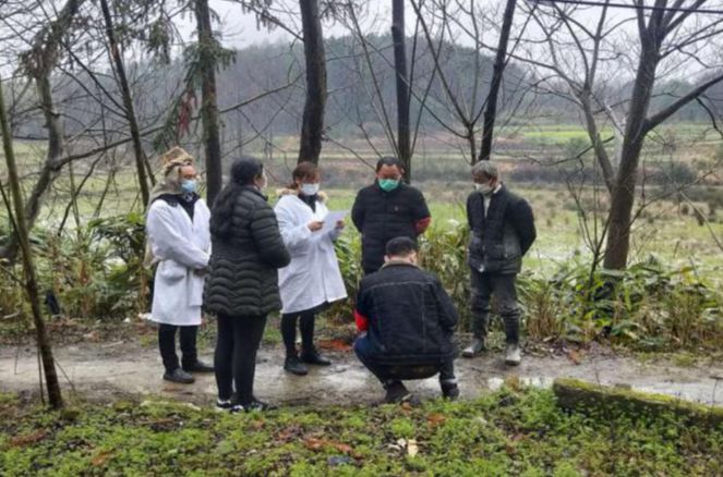 市场监管人员真抓实干履职尽责,崇阳市场监督管理局成员