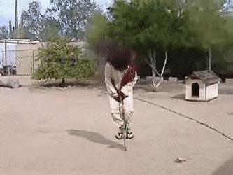 遭遇百般霸凌后，机器人竟将枪口对准人类