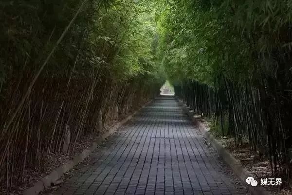 2023户外广告创意,户外创意广告视频大全