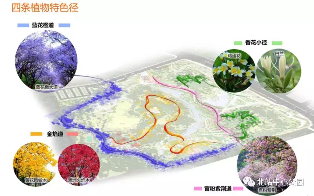 实拍深圳的一座公园,深圳有足球场的公园