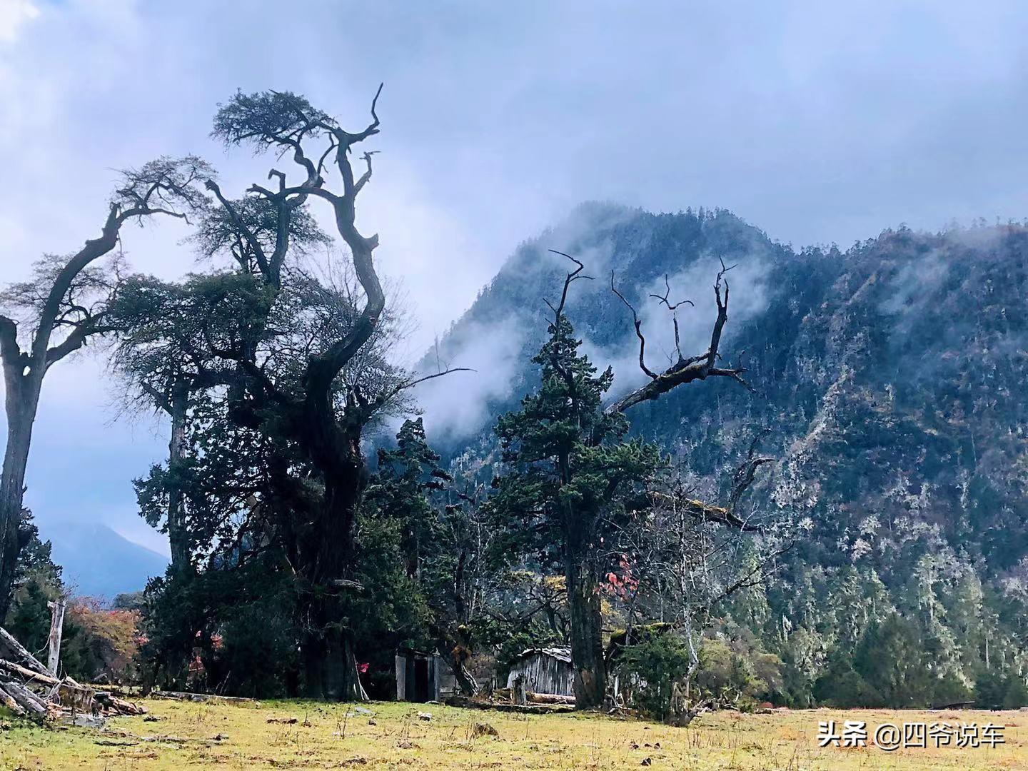 林芝看南迦巴瓦峰的观景台,西藏自驾游南迦巴瓦峰