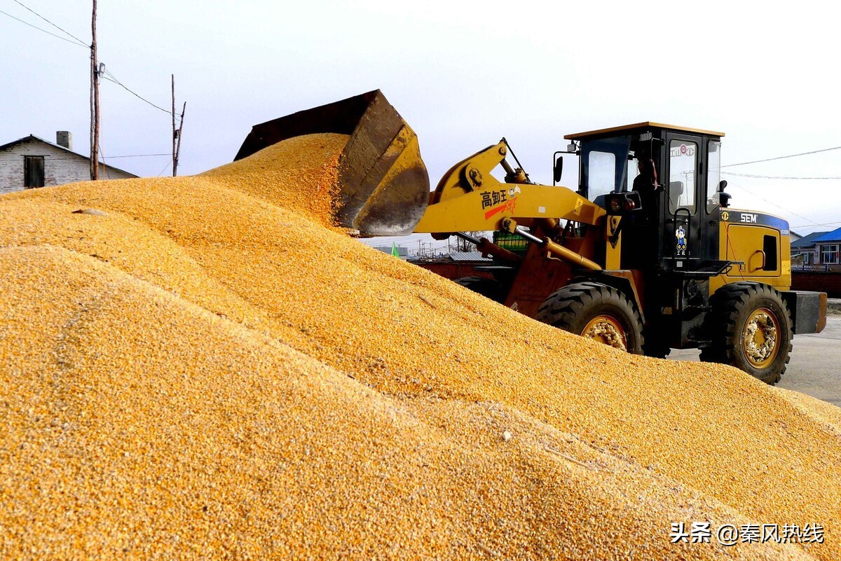夏粮收购为今年粮食稳产保收,夏粮收购总量保持高水平