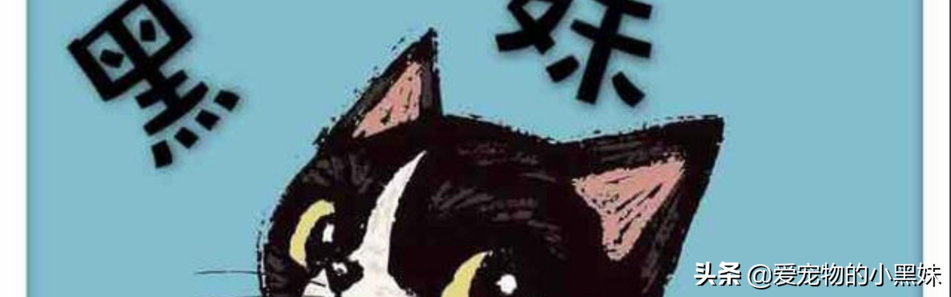 狗狗腿瘸不治会瘫痪吗,狗狗腿瘸长时间不看会有影响吗