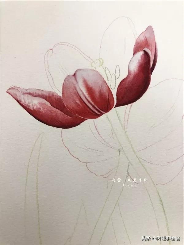怎么用水彩笔画郁金香教程,粉色水彩郁金香怎么画图片