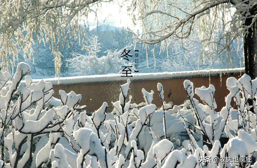 今年春节最冷的天气是几月几号,今冬最冷的三九天是几九