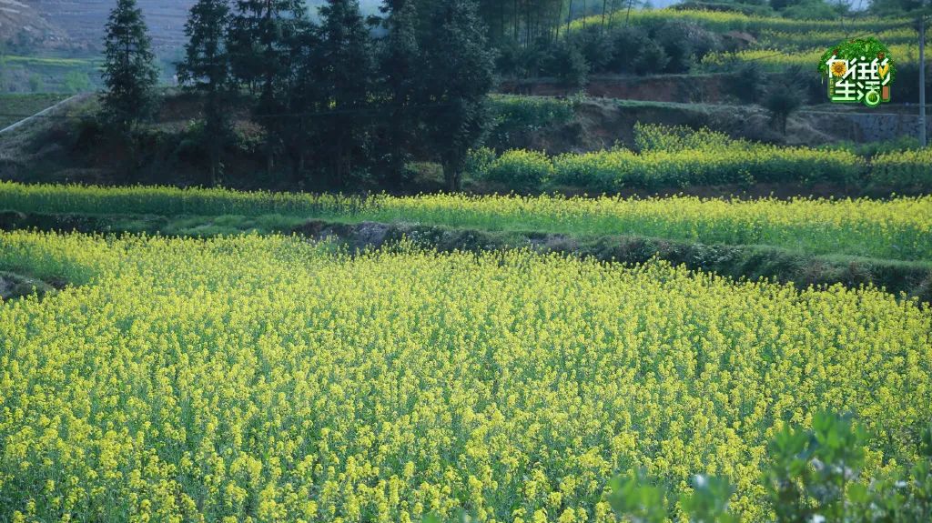 电视剧向往的生活在哪拍的取景地,电视剧向往的生活取景地