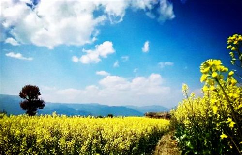 腾冲春天旅游攻略两日游最佳路线,春天怎么去腾冲玩最好玩