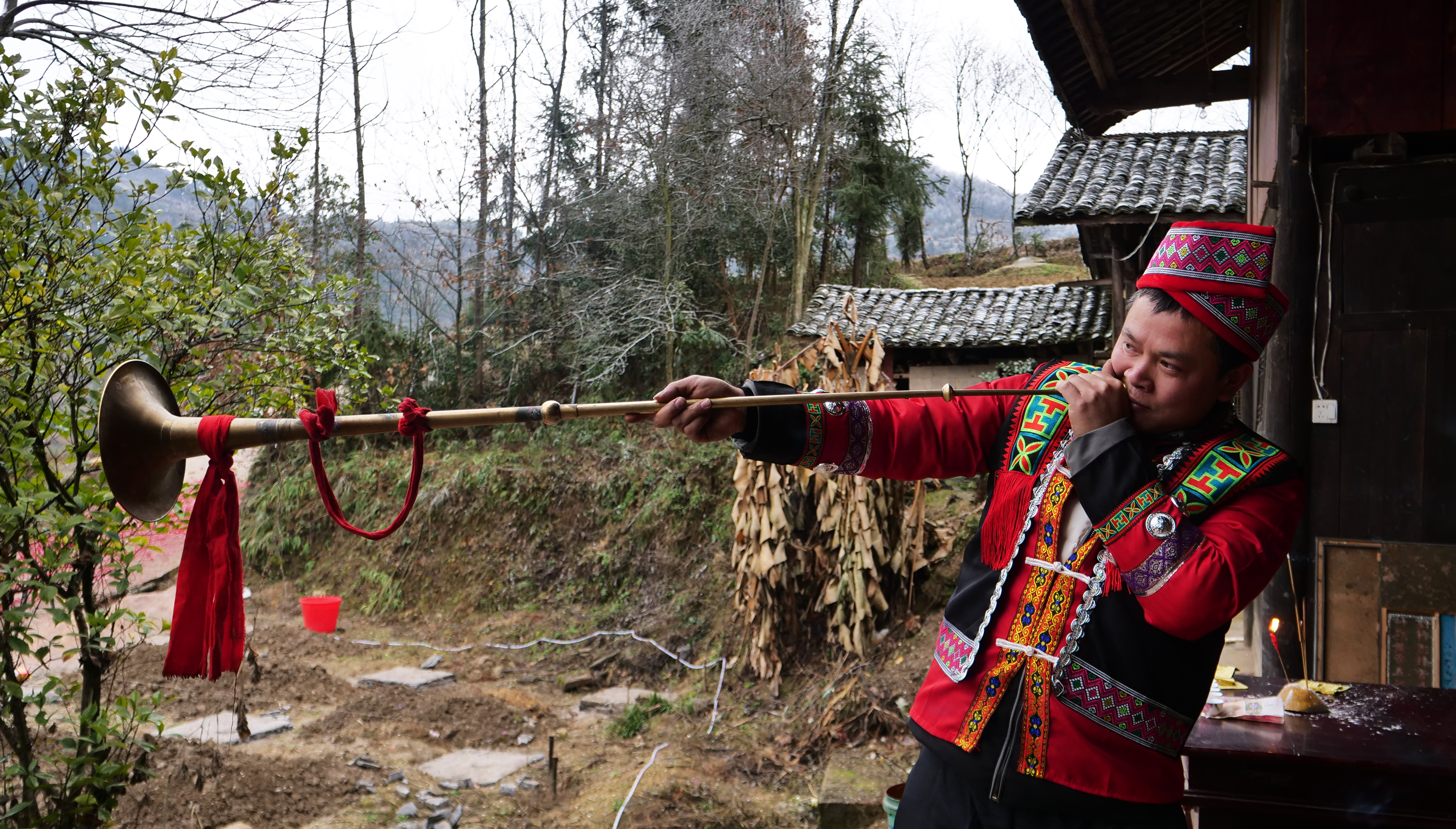 龙脑袋,龙脑袋配色