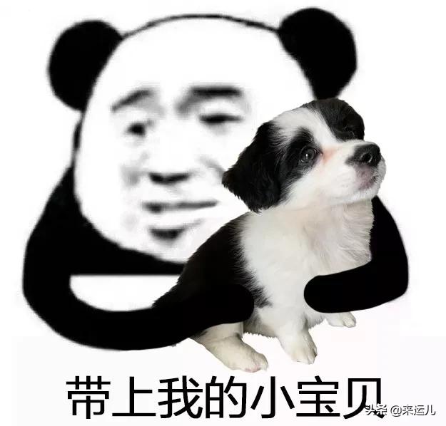 行李箱最好带不带上飞机呢,行李箱哪些东西不能带上火车飞机