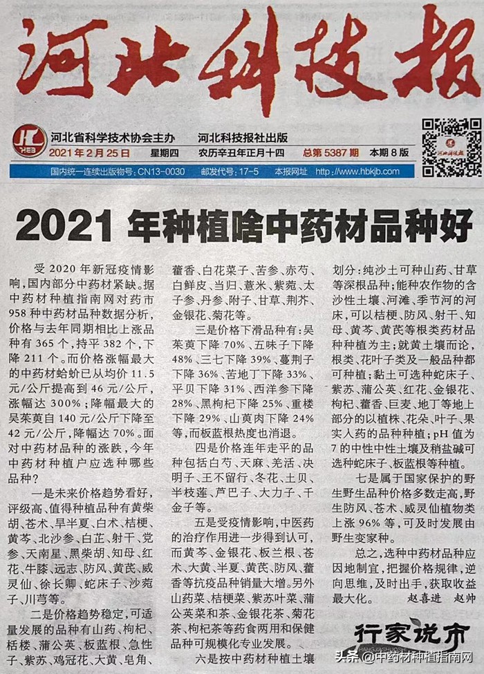 中药材的市场行情及种植品种,中药材网2022年中药材上涨品种