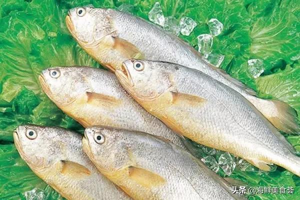 常见的鱼虾蟹等海鲜的认识,虾蟹类海鲜大全