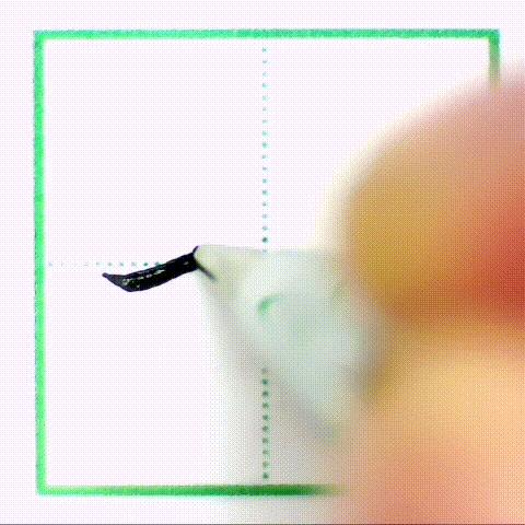 二年级下册写字表带拼音组词,小学二年级语文下册写字表全部