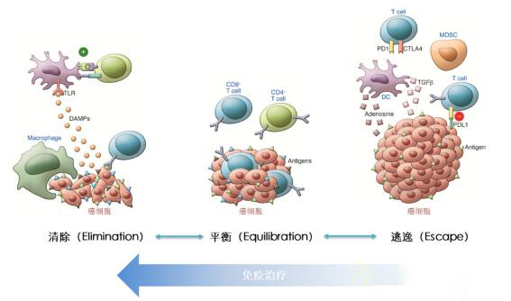肿瘤后的心声,肿瘤患者治疗后多长时间复查一次